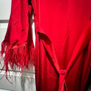 Red Feathered Sleeve Dress